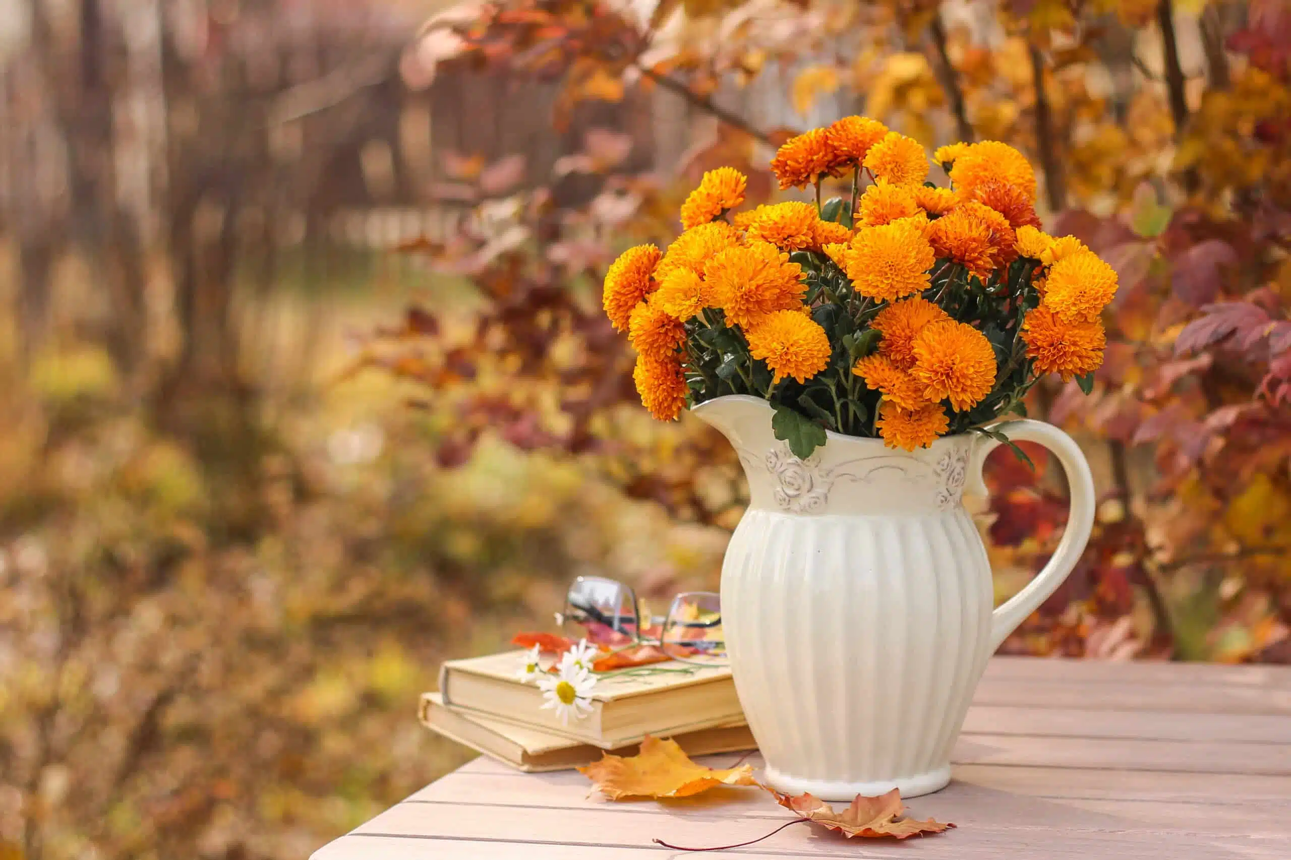 Vase with chrysanthemums and books on the table in the autumn garden.