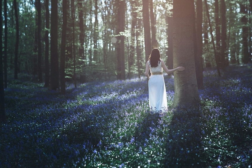 a lonely woman in the woods with bluebells
