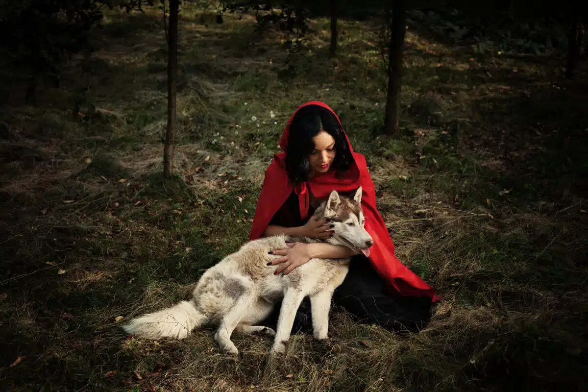 red riding hood and the wolf