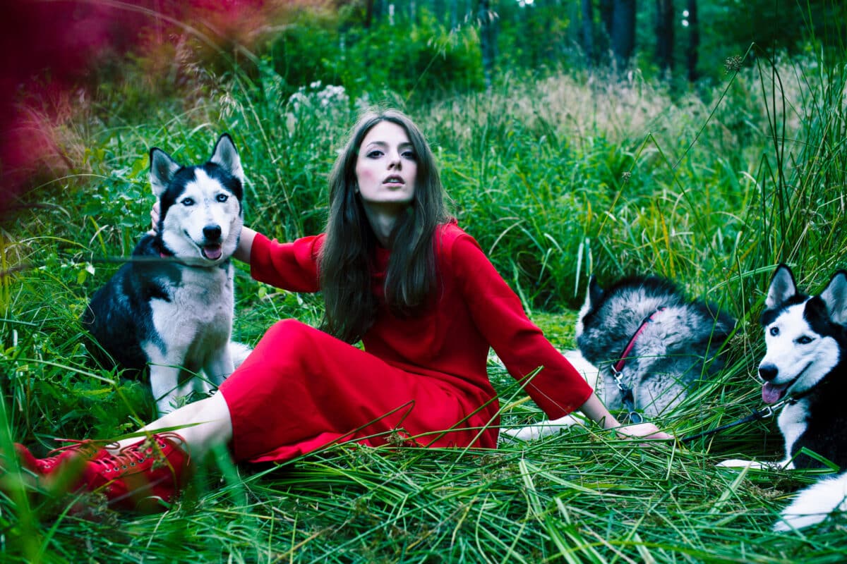woman in red dress with tree wolfs, forest, husky dogs mystery portrait