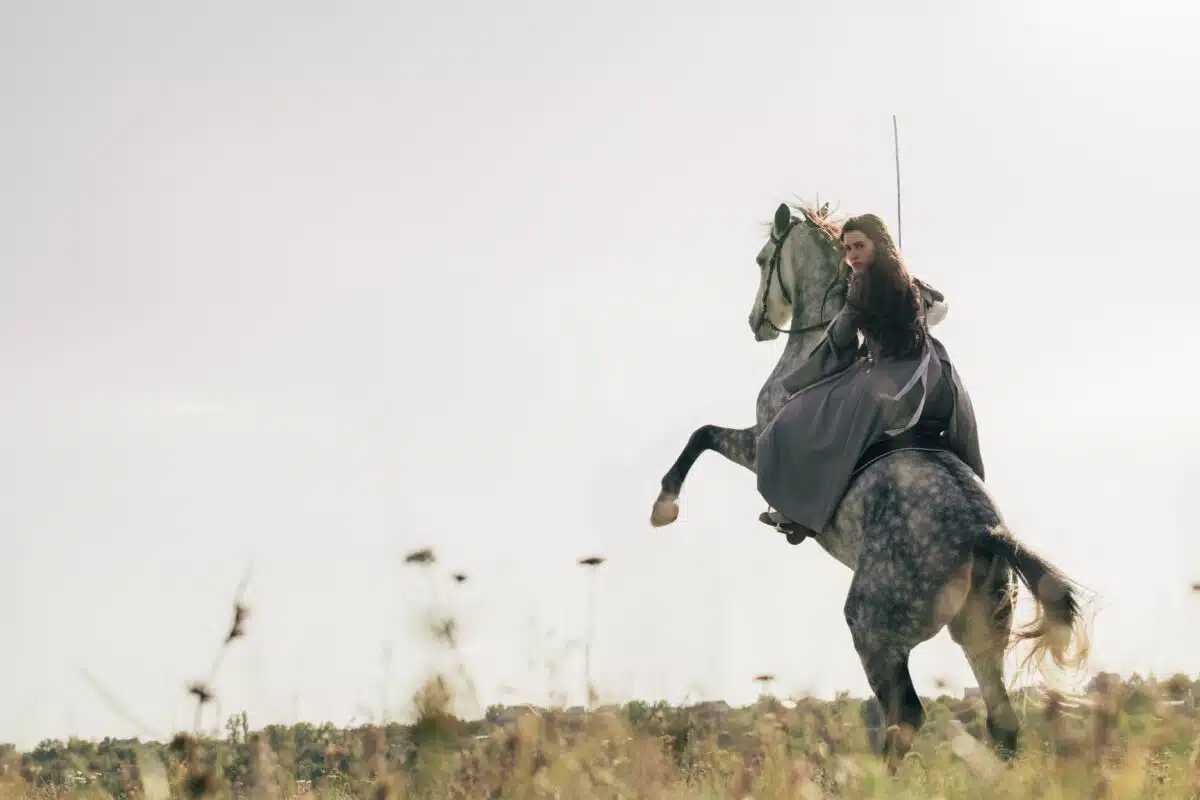 a young female warrior with a sword sits on the black horse in the field