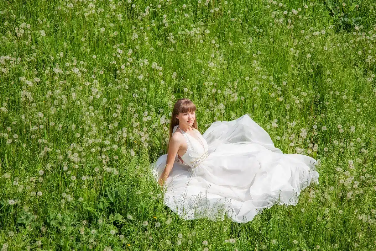 attractive lady in a white dress relaxing on the field of dandelions