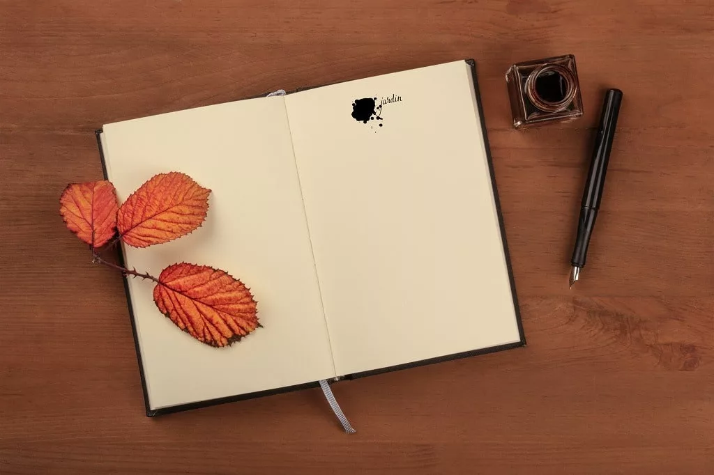 A book with a thorny branch with vibrant leaves, an ink well, and a nib pen on a dark wooden background.