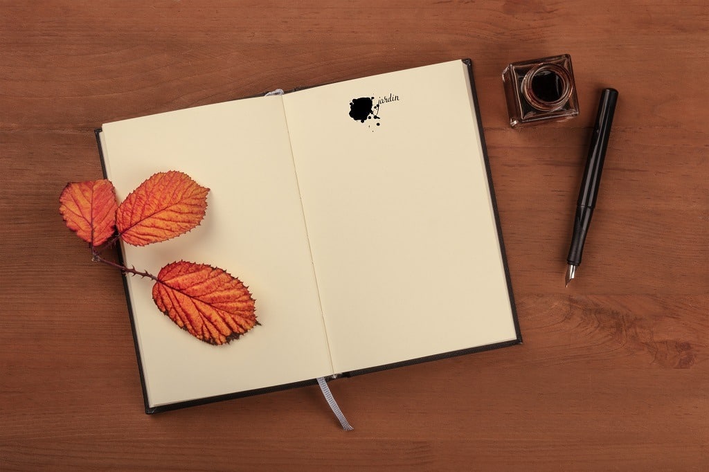 A book with a thorny branch with vibrant leaves, an ink well, and a nib pen on a dark wooden background.