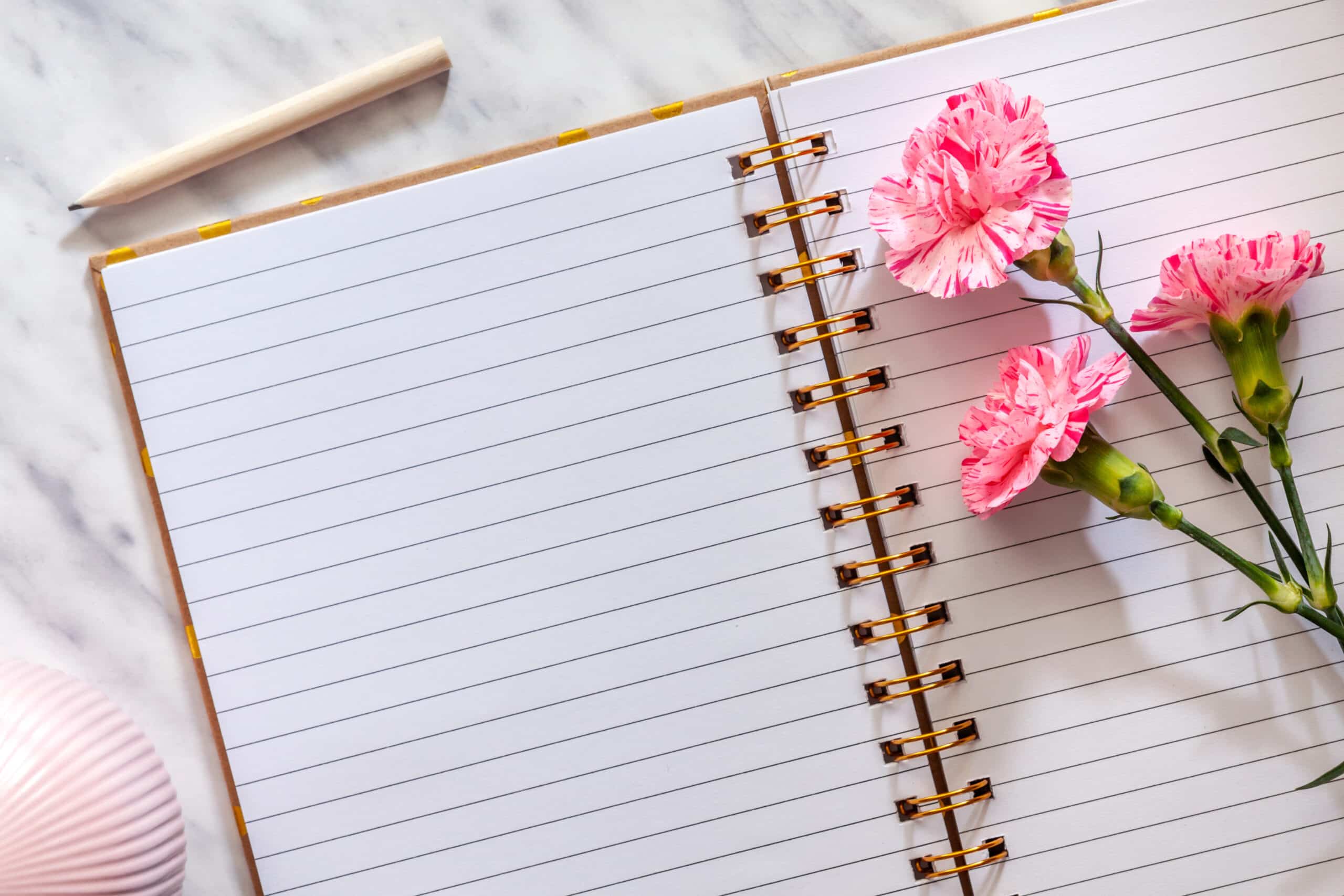 open empty notebook with carnation flowers.
