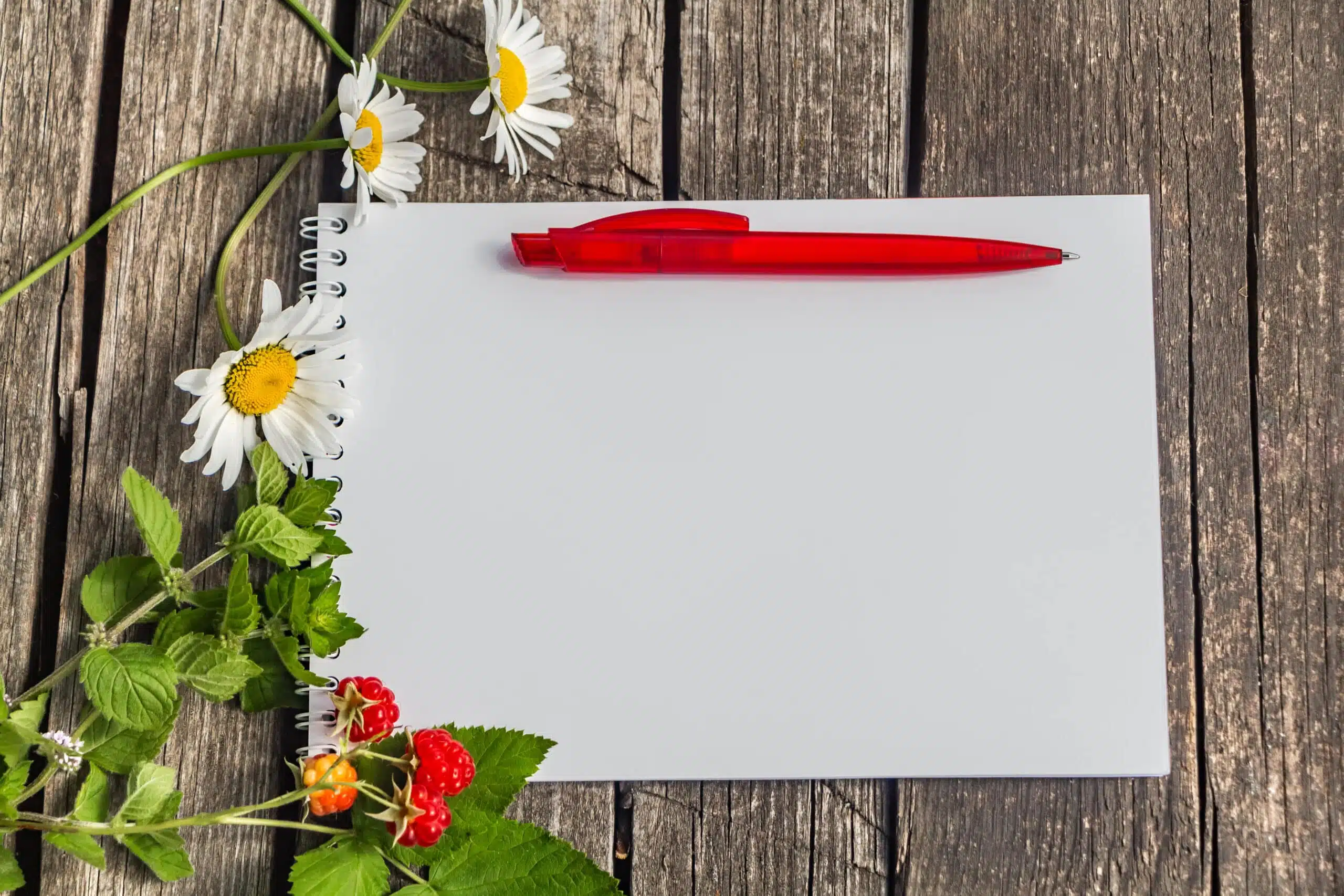 A white notepad, a red ball-point pen lies on a rough old gray wooden surface with flowers.