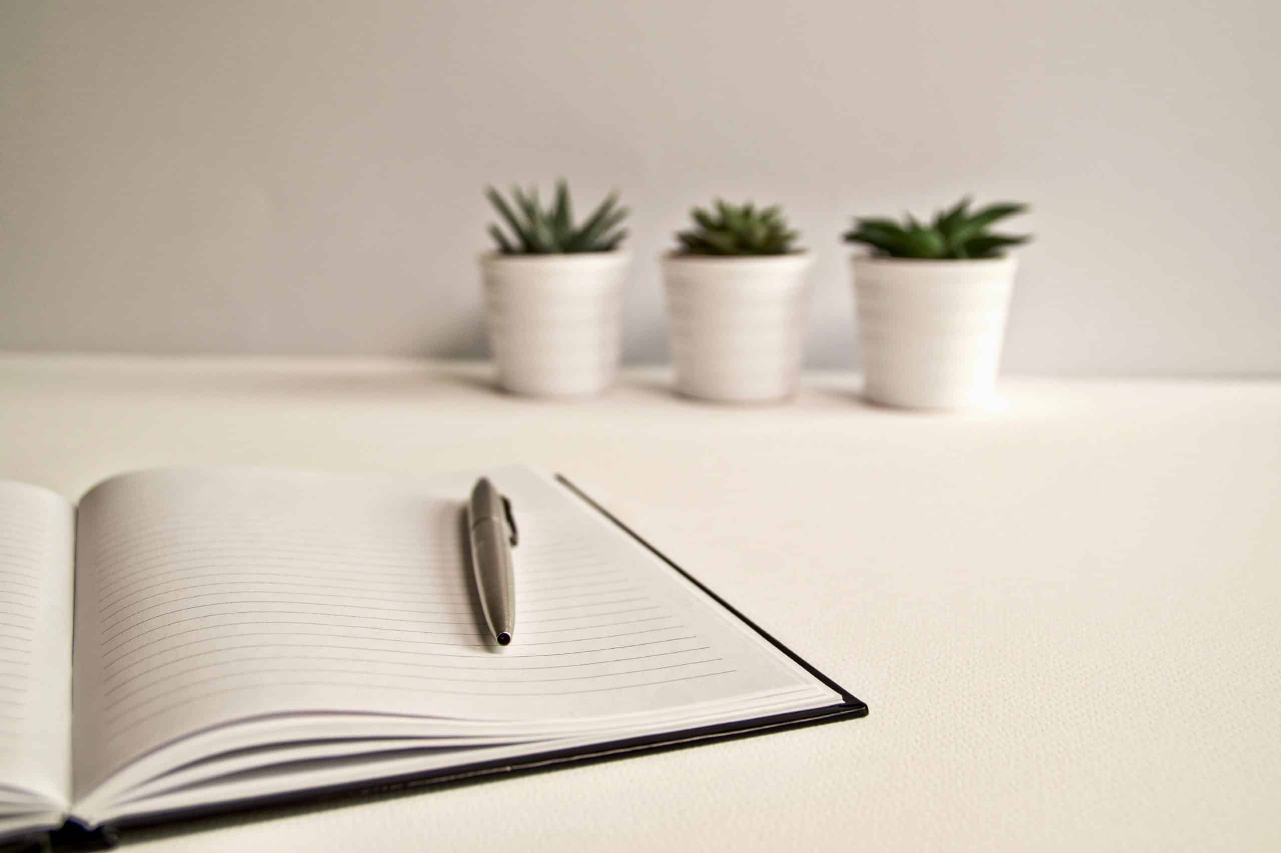 notebook and pen on white desk with potted cactus plants.